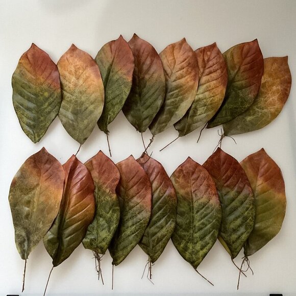 MAGNOLIA BIG LEAVES  DIY BUNDLE CRAFTS HOME DECOR 30 LEAVES 4 BRANCHES - Picture 2 of 15